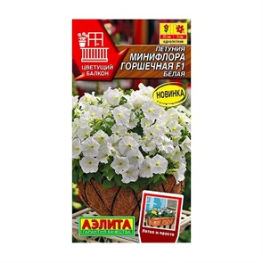 Петуния Минифлора белая Аэлита