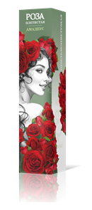 {{productViewItem.photos[photoViewList.activeNavIndex].Alt || productViewItem.photos[photoViewList.activeNavIndex].Description || 'Роза плетистая Амадеус Садовита кор.'}}