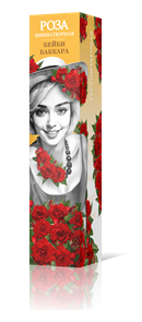 {{productViewItem.photos[photoViewList.activeNavIndex].Alt || productViewItem.photos[photoViewList.activeNavIndex].Description || 'Роза миниатюрная Бейби Баккара Садовита кор.'}}