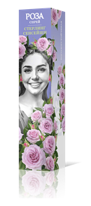 {{productViewItem.photos[photoViewList.activeNavIndex].Alt || productViewItem.photos[photoViewList.activeNavIndex].Description || 'Роза спрей Стерлинг сенсейшн Садовита кор.'}}