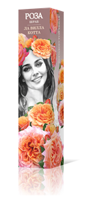 {{productViewItem.photos[photoViewList.activeNavIndex].Alt || productViewItem.photos[photoViewList.activeNavIndex].Description || 'Роза шраб Ла Вилла Котта Садовита кор.'}}