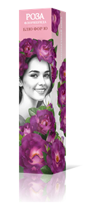 {{productViewItem.photos[photoViewList.activeNavIndex].Alt || productViewItem.photos[photoViewList.activeNavIndex].Description || 'Роза флорибунда Блю Фор Ю Садовита кор.'}}