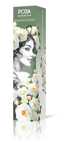 {{productViewItem.photos[photoViewList.activeNavIndex].Alt || productViewItem.photos[photoViewList.activeNavIndex].Description || 'Роза плетистая Шнеевальцер Садовита кор.'}}