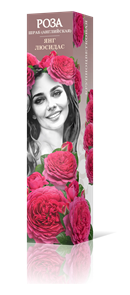 {{productViewItem.photos[photoViewList.activeNavIndex].Alt || productViewItem.photos[photoViewList.activeNavIndex].Description || 'Роза шраб Янг Люсидас (английская) Садовита кор.'}}