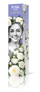 {{productViewItem.photos[photoViewList.activeNavIndex].Alt || productViewItem.photos[photoViewList.activeNavIndex].Description || 'Роза спрей Алабастер Садовита кор.'}}