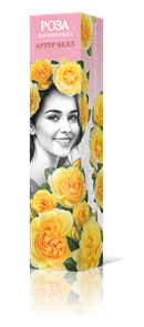 {{productViewItem.photos[photoViewList.activeNavIndex].Alt || productViewItem.photos[photoViewList.activeNavIndex].Description || 'Роза флорибунда Артур Белл Садовита кор.'}}