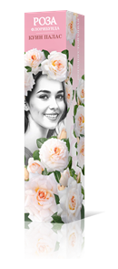 {{productViewItem.photos[photoViewList.activeNavIndex].Alt || productViewItem.photos[photoViewList.activeNavIndex].Description || 'Роза флорибунда Куин Палас Садовита кор.'}}