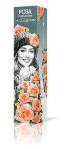 {{productViewItem.photos[photoViewList.activeNavIndex].Alt || productViewItem.photos[photoViewList.activeNavIndex].Description || 'Роза канадская (плетистая) Салли Холмс Садовита кор.'}}