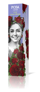 {{productViewItem.photos[photoViewList.activeNavIndex].Alt || productViewItem.photos[photoViewList.activeNavIndex].Description || 'Роза спрей Рэд Сенсейшн Садовита кор.'}}