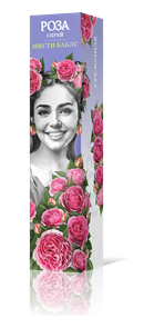 {{productViewItem.photos[photoViewList.activeNavIndex].Alt || productViewItem.photos[photoViewList.activeNavIndex].Description || 'Роза спрей Мисти баблс Садовита кор.'}}