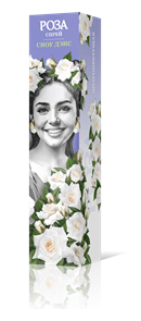 {{productViewItem.photos[photoViewList.activeNavIndex].Alt || productViewItem.photos[photoViewList.activeNavIndex].Description || 'Роза спрей Сноу дэнс Садовита кор.'}}