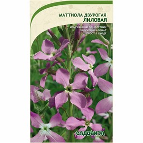 Маттиола двурогая Лиловая 0,3гр Садовита