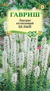 Лиатрис Белый Гавриш