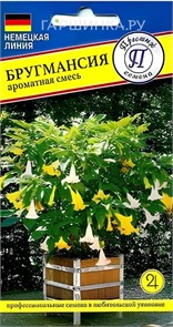 Бругмансия Ароматная смесь 2 шт Престиж