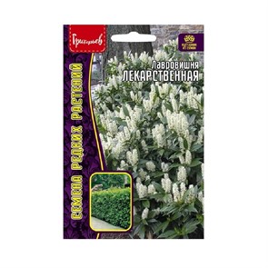 Лавровишня Лекарственная 3 шт.Григорьев