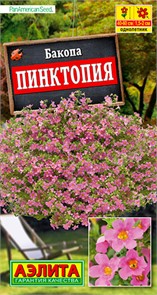 Бакопа Пинктопия 3шт Аэлита