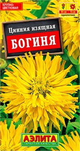 Цинния Богиня кактусовидная 0,3гр Аэлита