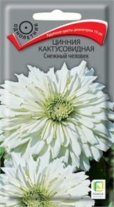 Цинния кактусовидная Снежный человек 50шт/0,4гр Поиск