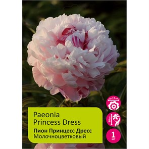 {{productViewItem.photos[photoViewList.activeNavIndex].Alt || productViewItem.photos[photoViewList.activeNavIndex].Description || 'Пион Принцесс Дресс 1шт 2/3 /Princess Dress (Fen ling hong hua/Фэнь Лин Хун Хуа)'}}