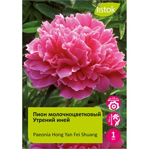 {{productViewItem.photos[photoViewList.activeNavIndex].Alt || productViewItem.photos[photoViewList.activeNavIndex].Description || 'Пион молочноцветковый Утрений иней 1шт/Paeonia Hong Yan Fei Shuang'}}