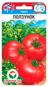 Томат Ползунок 20шт (Сиб Сад)
