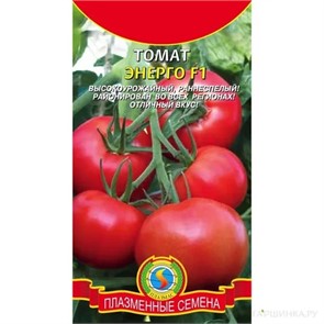 Томат Энерго F1 10шт Плазма
