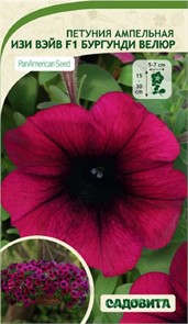 Петуния Изи Вэйв F1 Бургунди Велюр 5др ампельная PanAmerican/Садовита