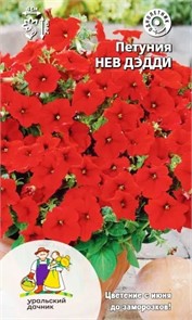 Петуния Нев Дэдди (Ур дачн)