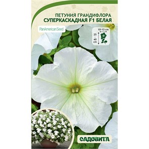 Петуния Суперкаскадная F1 Белая грандифлора 10др PanAmerican/Садовита