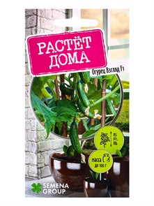 Огурец «Взгляд», F1, 5 шт.,Растёт дома Семена Групп