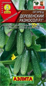 Огурец Деревенский разносол F1 10шт (Аэлита)