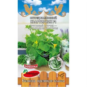 Огурец Квартирник балконный F1 5шт Премиум