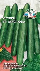Огурец Мустафа F1 0.2г Седек
