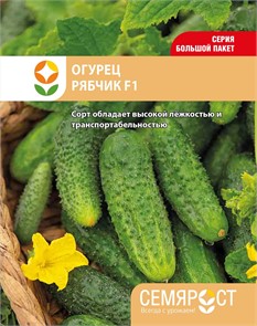 Огурец Рябчик F1 8 шт СС