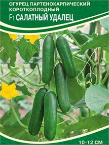 Огурец Салатный Удалец F1 5шт Семко