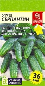 Огурец Серпантин, 0,5 гр. (Семена Алтая)