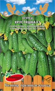 Огурец Хрустяшка F1 10шт Премиум