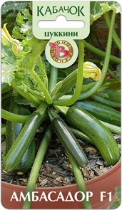 Кабачок Амбасадор цуккини F1 5шт Биотехника