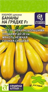 Кабачок Бананы на грядке F1 1гр Сем.Алтая