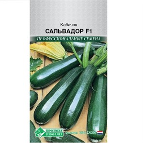 Кабачок Сальвадор F1 3шт Голландия (ЕС)