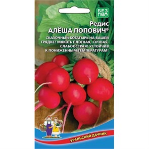 Редис Алеша Попович 2гр УД