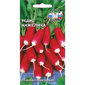 Редис Анжелика 3г Седек