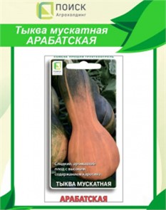 Тыква Арабатская мускатная 10шт Поиск