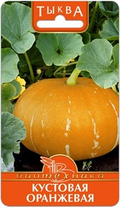Тыква Кустовая Оранжевая 6шт Биотехника