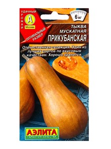 Тыква Прикубанская мускатная Аэлита