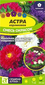 Астра Карликовая смесь окрасок 0,1-0,3гр СА