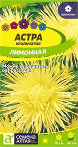 Астра Лимонная Игольчатая 0,2-0,3гр СА
