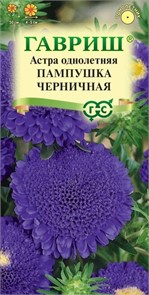 Астра Пампушка черничная 0,3гр ГШ