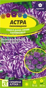 Астра Седая Дама Синяя карликовая 0,05-0,2гр СА