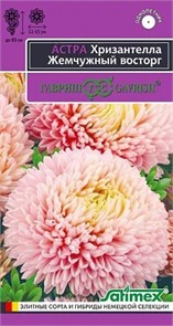Астра Хризантелла Жемчужный восторг 0,05гр ГШ